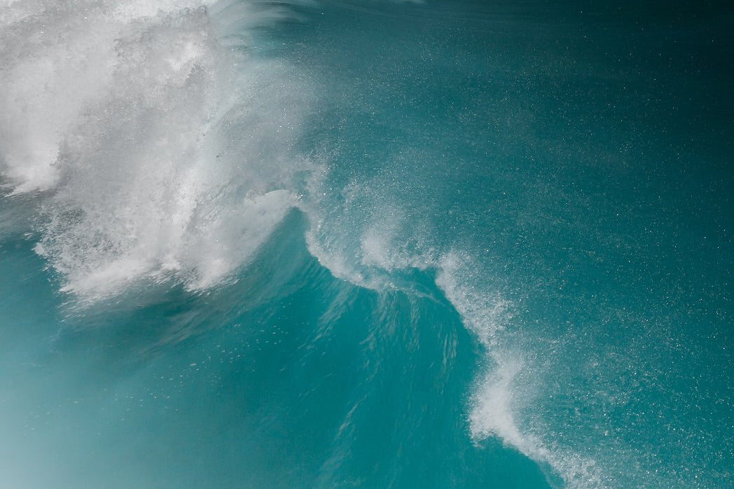 Le grand plongeon