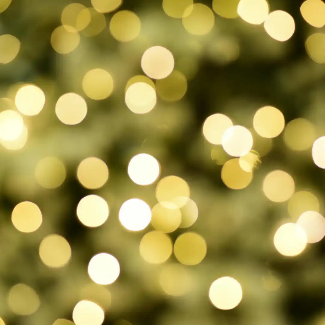 ✨ Spécial Noël ✨